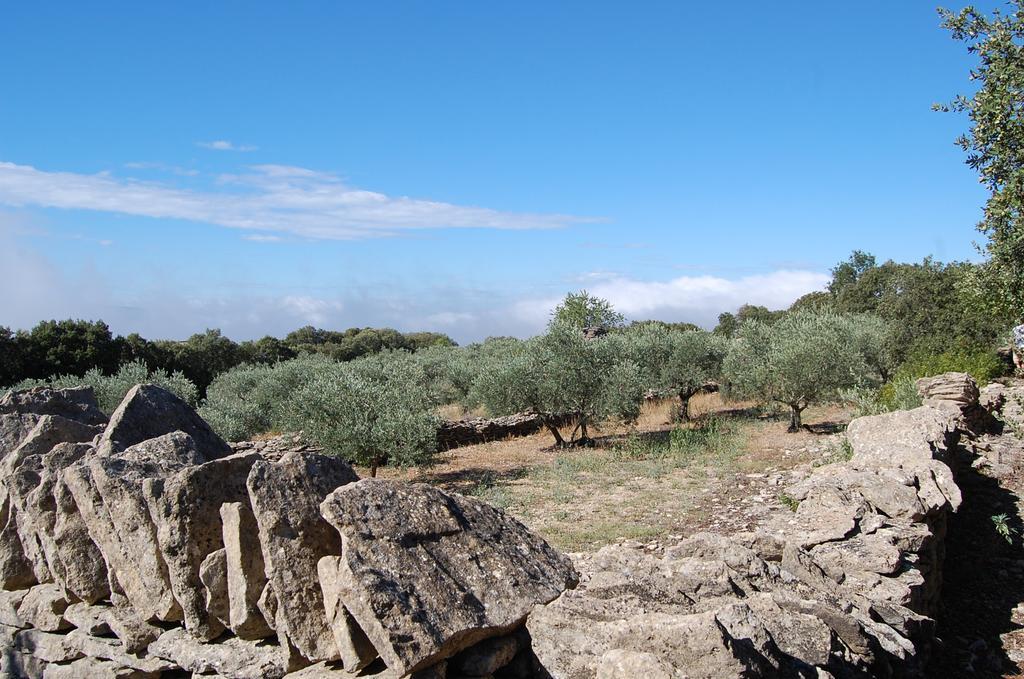 Cypres Du Paradis A Gordes Exterior photo